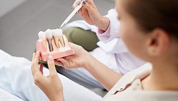 A dentist shows a patient a cross-section mouth mold that contains a dental implant sitting between two healthy teeth