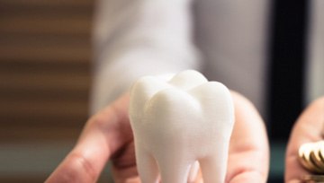 A person holding a white tooth model and gold coins